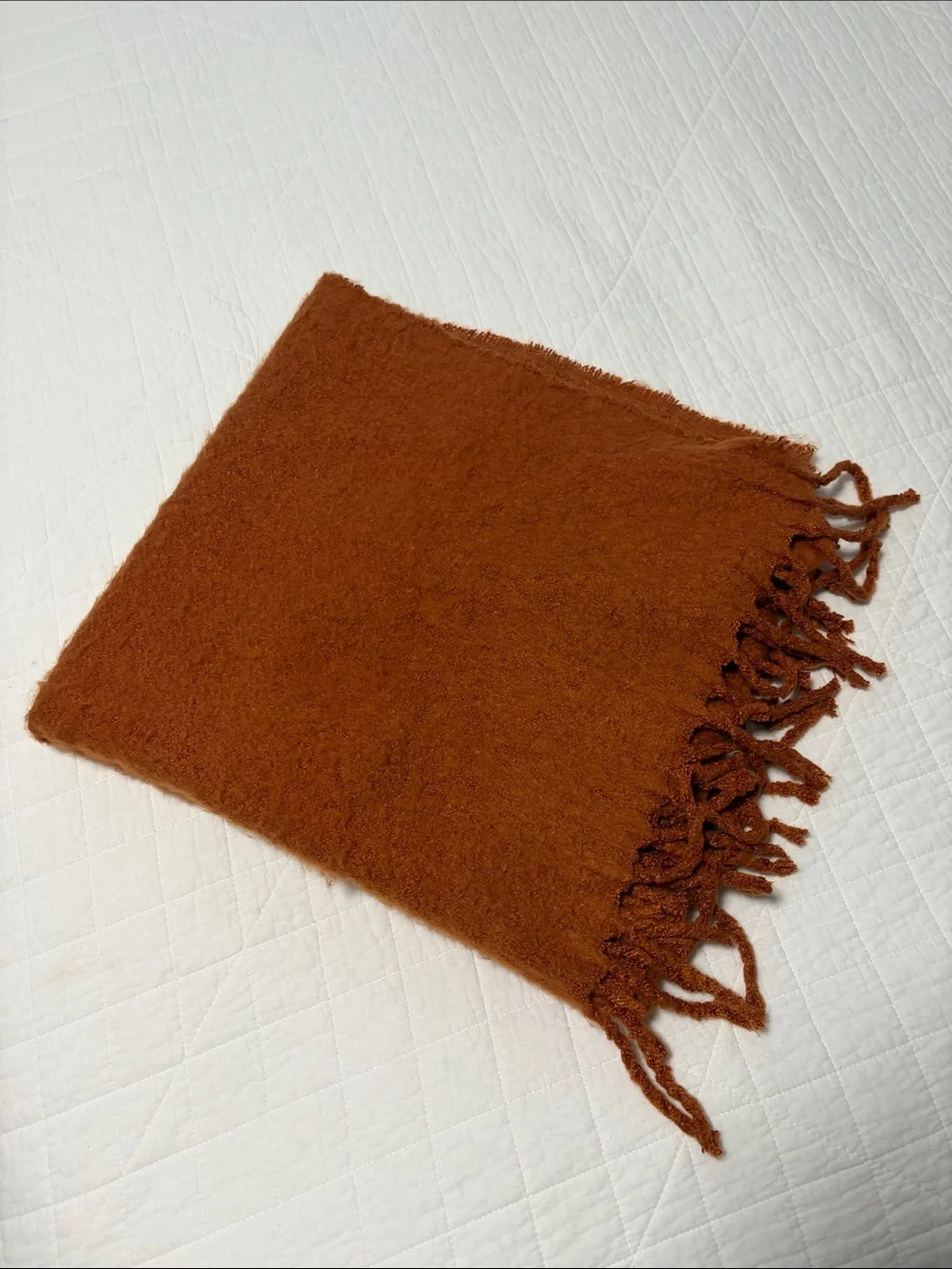 Cozy Women's Fringe Scarf - burnt orange